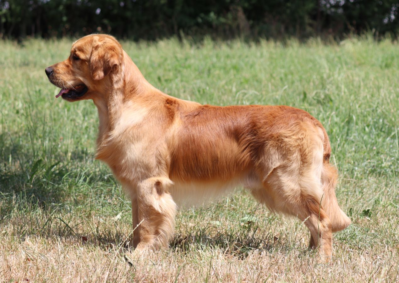 Bou'Dabor Gin Flipp (Rufname: Magnus)